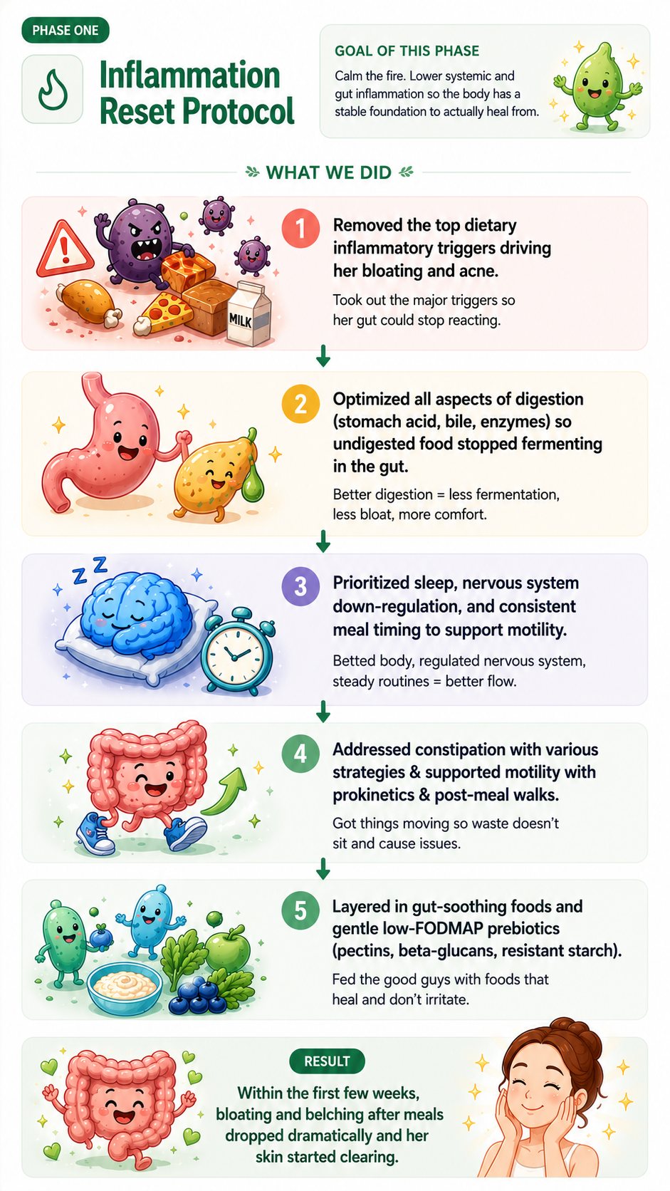 Inflammation Reset Protocol illustration